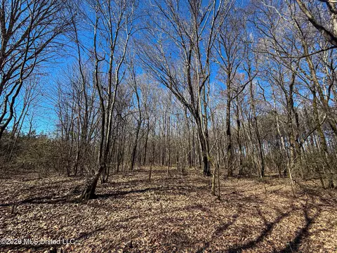 Ms-9, Bruce, MS 38915 photo 15