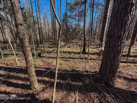 Ms-9, Bruce, MS 38915 photo 22