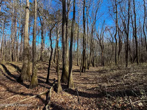 Ms-9, Bruce, MS 38915 photo 18