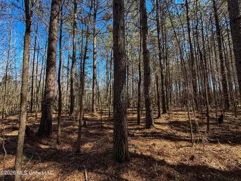 Ms-9, Bruce, MS 38915 photo 27