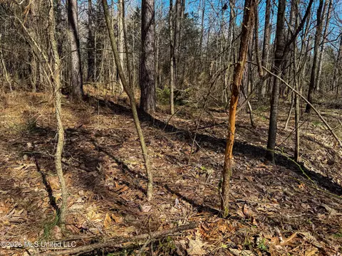 Ms-9, Bruce, MS 38915 photo 24