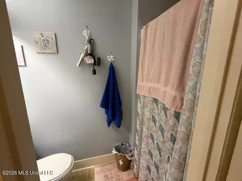 Bath - 1074 Windrose Dr, Brandon, MS 39047 photo 3 of 3