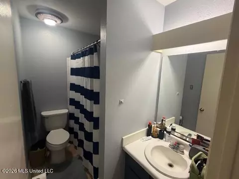 Bath - 1074 Windrose Dr, Brandon, MS 39047 photo 2 of 3