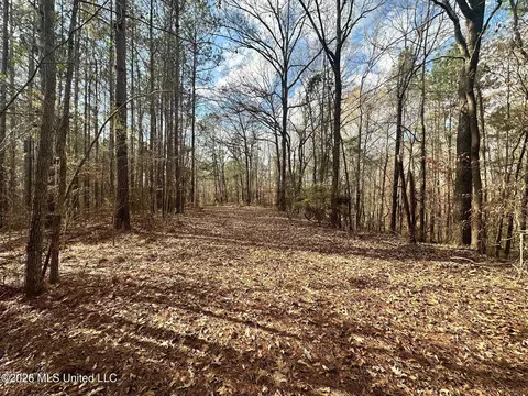 Ward Road, Florence, MS 39073 photo 9