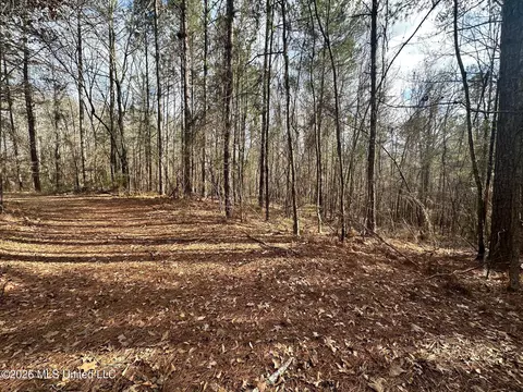 Ward Road, Florence, MS 39073 photo 10