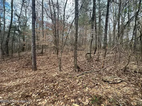 Ward Road, Florence, MS 39073 photo 6