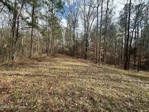 Ward Road, Florence, MS 39073 photo 8