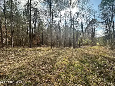 Ward Road, Florence, MS 39073 photo 7
