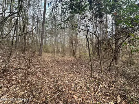 Ward Road, Florence, MS 39073 photo 5
