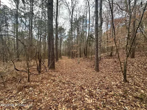 Ward Road, Florence, MS 39073 photo 3