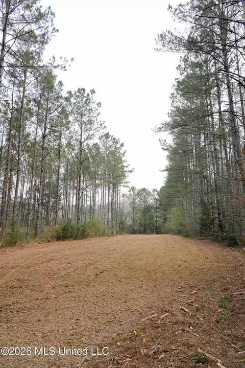 Frog Ridge Road, Jayess, MS 39641 photo 6
