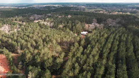 Frog Ridge Road, Jayess, MS 39641 photo 47