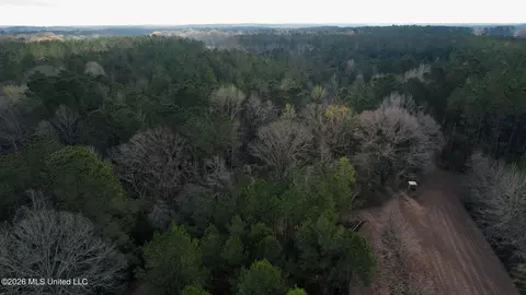Frog Ridge Road, Jayess, MS 39641 photo 52