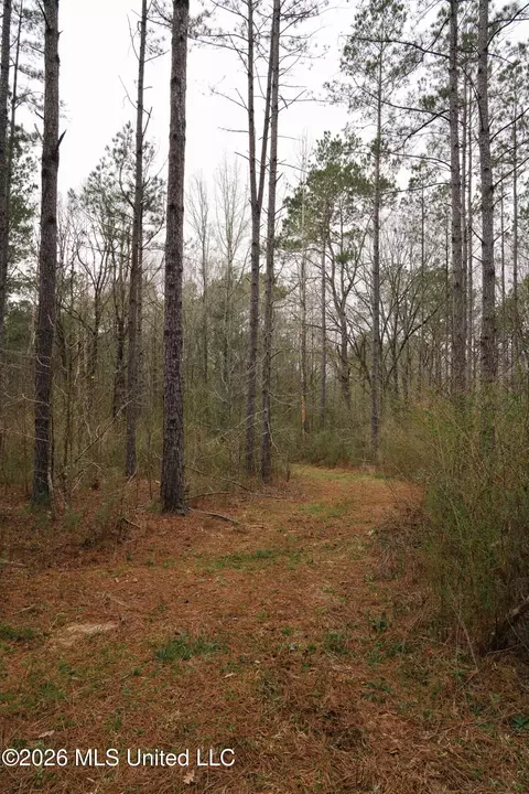 Frog Ridge Road, Jayess, MS 39641 photo 24