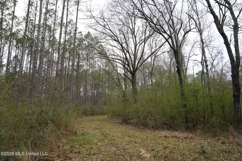 Frog Ridge Road, Jayess, MS 39641 photo 12