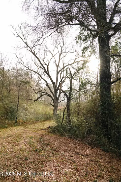 Frog Ridge Road, Jayess, MS 39641 photo 4