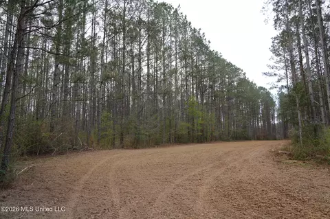 Frog Ridge Road, Jayess, MS 39641 photo 9