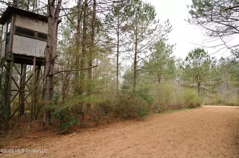 Frog Ridge Road, Jayess, MS 39641 photo 18