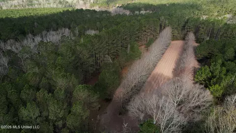 Frog Ridge Road, Jayess, MS 39641 photo 51