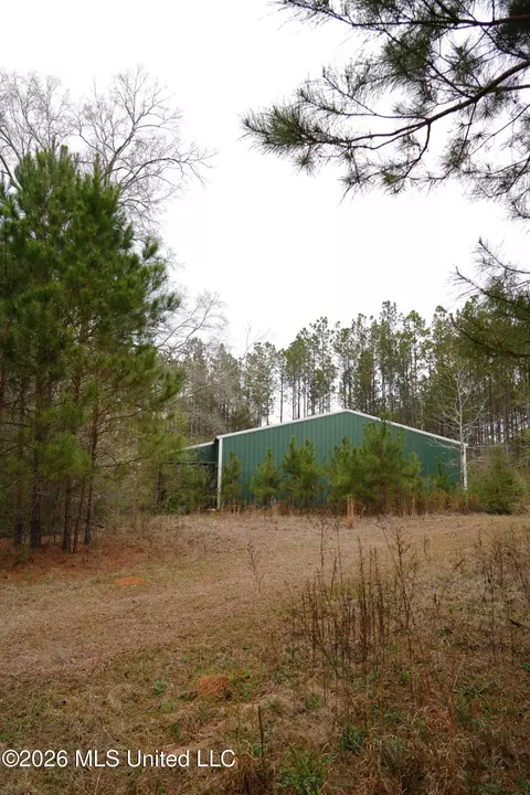 Frog Ridge Road, Jayess, MS 39641 photo 44