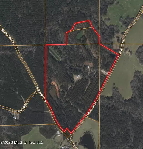 Frog Ridge Road, Jayess, MS 39641 photo 62