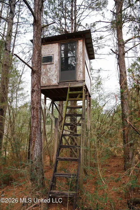 Frog Ridge Road, Jayess, MS 39641 photo 20