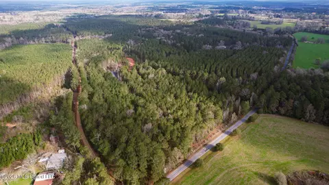 Frog Ridge Road, Jayess, MS 39641 photo 54