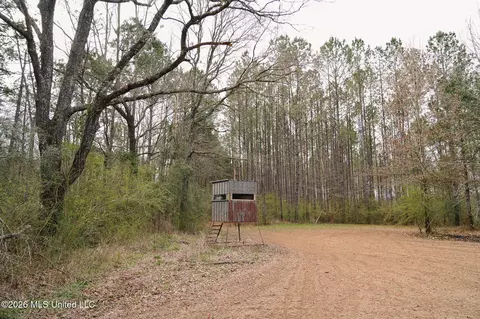 Frog Ridge Road, Jayess, MS 39641 photo 36