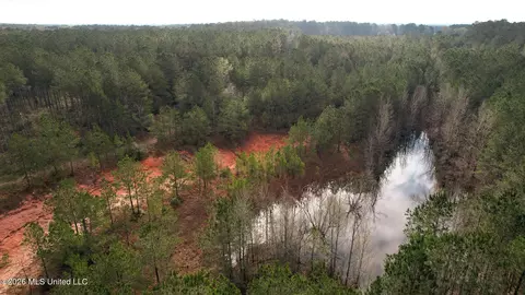 Frog Ridge Road, Jayess, MS 39641 photo 53