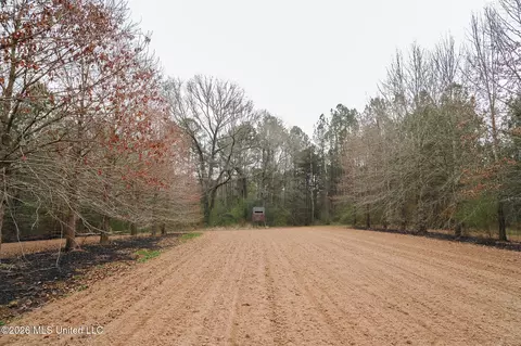 Frog Ridge Road, Jayess, MS 39641 photo 35