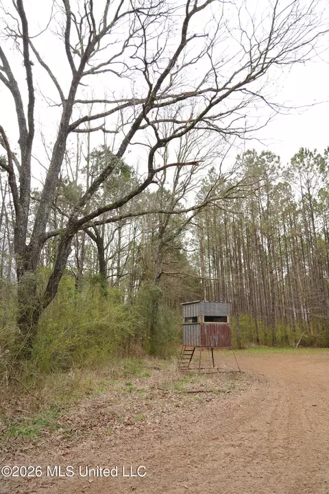 Frog Ridge Road, Jayess, MS 39641 photo 28