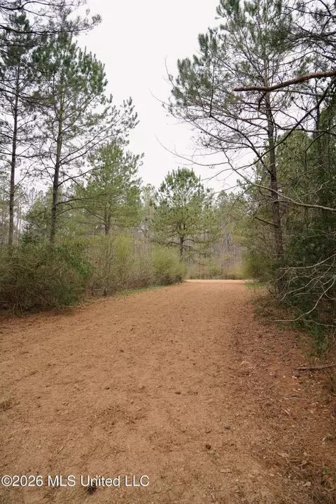 Frog Ridge Road, Jayess, MS 39641 photo 17