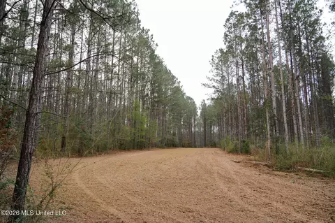 Frog Ridge Road, Jayess, MS 39641 photo 11