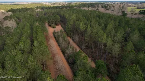 Frog Ridge Road, Jayess, MS 39641 photo 50