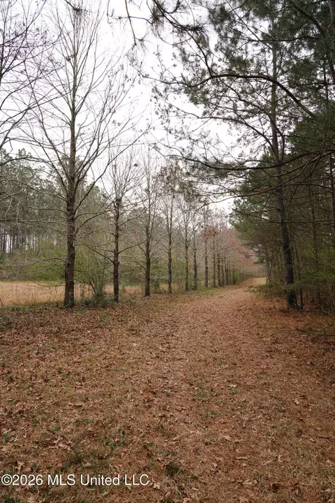 Frog Ridge Road, Jayess, MS 39641 photo 25