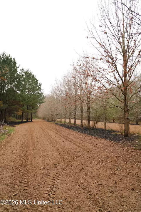 Frog Ridge Road, Jayess, MS 39641 photo 27