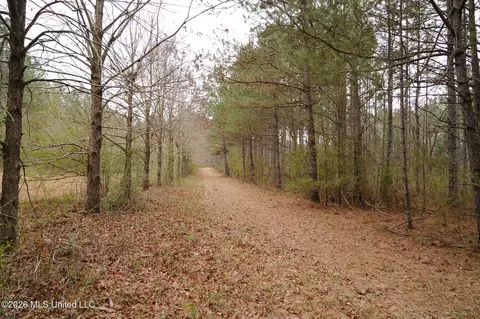 Frog Ridge Road, Jayess, MS 39641 photo 19
