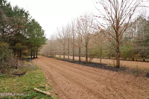Frog Ridge Road, Jayess, MS 39641 photo 26