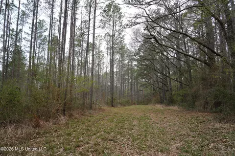 Frog Ridge Road, Jayess, MS 39641 photo 13