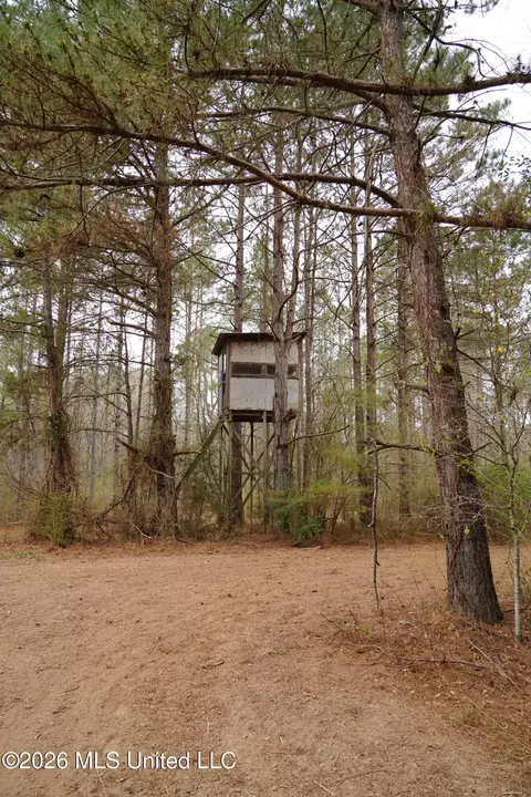 Frog Ridge Road, Jayess, MS 39641 photo 16