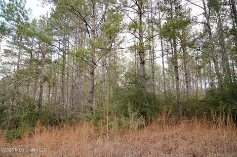 Frog Ridge Road, Jayess, MS 39641 photo 45