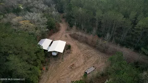 Frog Ridge Road, Jayess, MS 39641 photo 2
