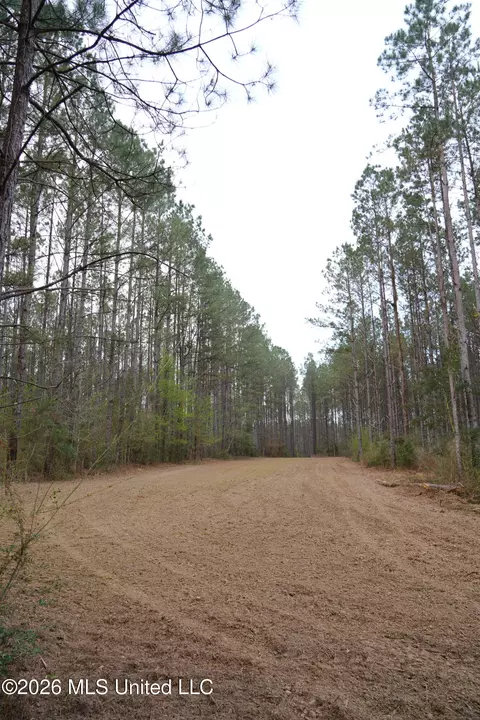 Frog Ridge Road, Jayess, MS 39641 photo 10