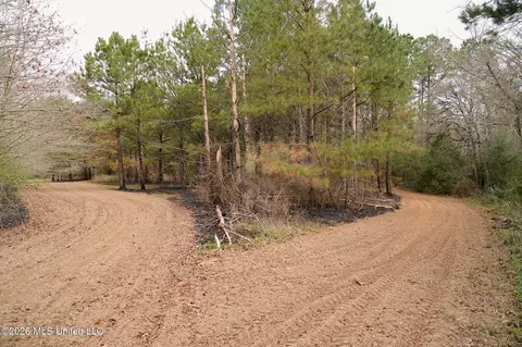 Frog Ridge Road, Jayess, MS 39641 photo 32