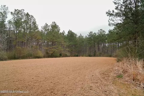 Frog Ridge Road, Jayess, MS 39641 photo 22