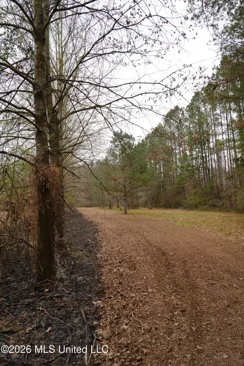 Frog Ridge Road, Jayess, MS 39641 photo 34
