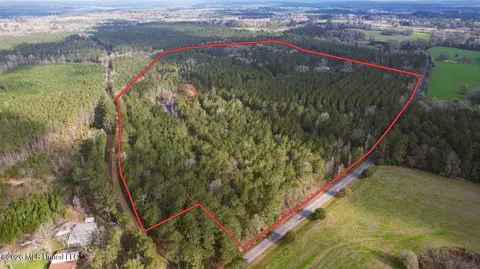 Frog Ridge Road, Jayess, MS 39641 photo 55