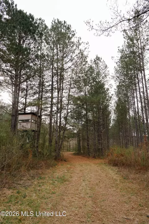 Frog Ridge Road, Jayess, MS 39641 photo 23