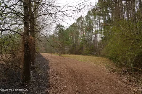Frog Ridge Road, Jayess, MS 39641 photo 33