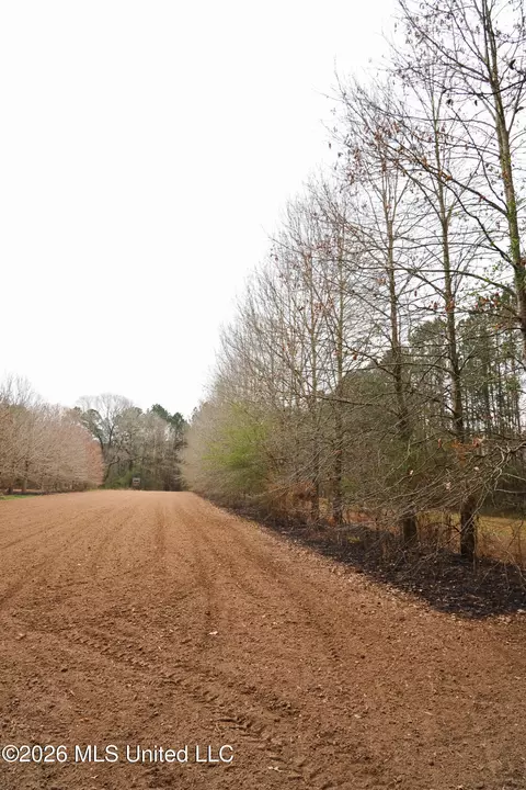 Frog Ridge Road, Jayess, MS 39641 photo 31